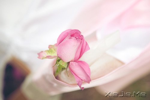 ֻҪ�����ߣ��ܻῴ������ (7)