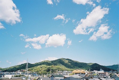 ������Ҳ������������� (3)