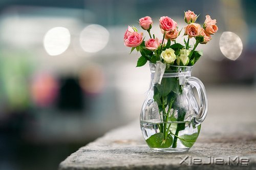 �����ӹ���ʫ���򵥶����� (5)