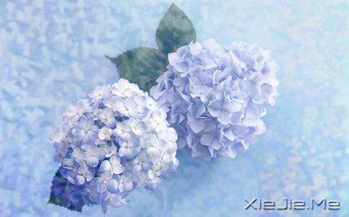 ��һ����������ʧȥ��60��Ŀ��� (2)