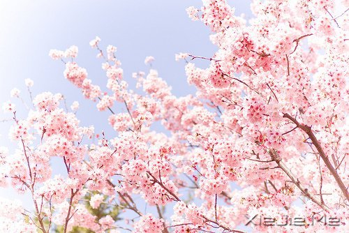 �����ж�пᣬ��͸��ж��ǿ (3)