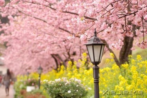 ������;���߹���֪��ǳ (8)