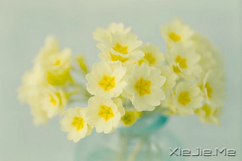 �����������Ľ�ӡ������ӡ������Ţ��·�� (2)