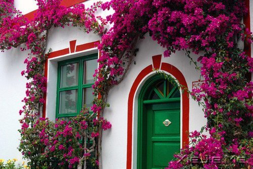 ˭���𻨵����ӣ�������������Ȼ���� (7)