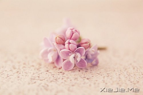 �Ҹ�Ӧ���������ɣ����������ö� (1)