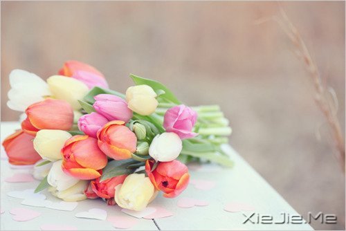 ����˥�ϵĲ������գ����ǲ��ҽ�ȡ���� (5)