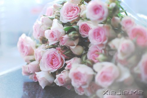 ����Ĺ¶�����һƬ�ڰ���������ֻ�ܿ����Լ� (7)