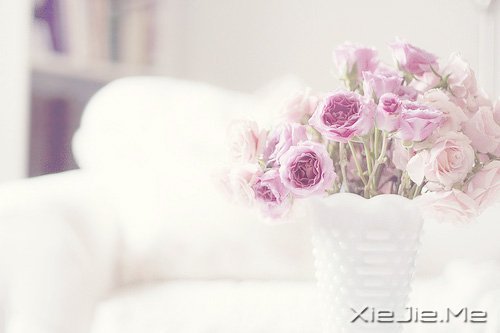 �簲�����һ�����ɣ�ȥ�������� (1)