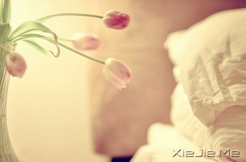 �簲�����һ�����ɣ�ȥ�������� (3)