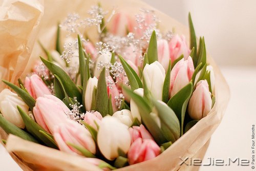 �簲�����Ϊ����Ϊ���ˣ����˲����˵��� (10)