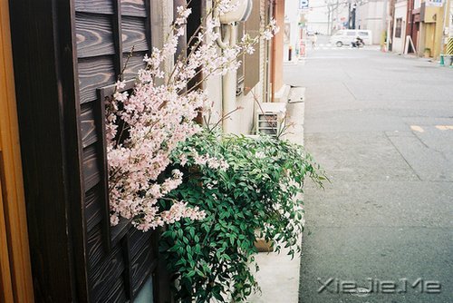 �������ʱ�䲻�����㿴͸���ˣ�Ҳ���������Լ� (4)