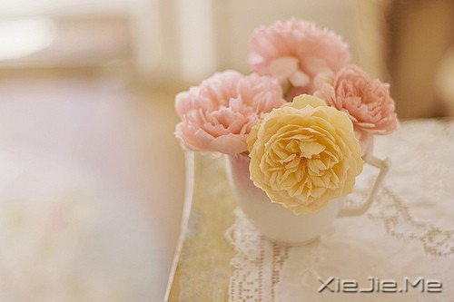 �簲�����ʰ���飬������· (9)