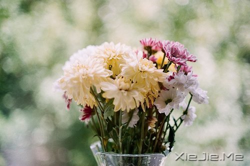 �簲�����ʰ���飬������· (10)