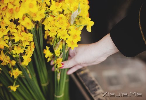 ������������������Ҹ� (7)