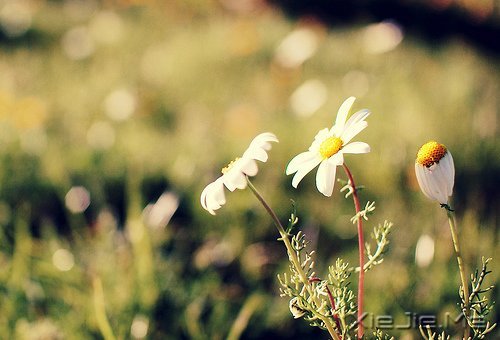 �簲���ʱ���ҧ�ˣ��㲻�߾ͻ������˺� (8)