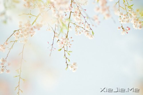 ��ɽ��ˮԶ�ĵ�·���վ���Ҫ�Լ�����ȥ (3)