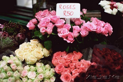 �簲�����Ҫ���������õĳ��� (6)