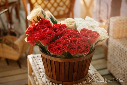 �簲�����ֻ��Ц�ĺܻ������˲Ų��ᱻ���� (8)