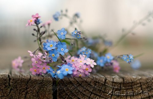 �簲�����δ���������������ǰ�һ���׸����� (3)