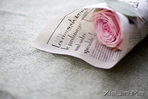 �������˭�����𸡻���Ѥ�ã�˭�;����������ƽ�� (4)