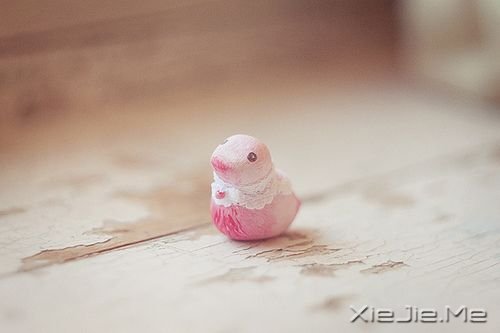 �������ֻҪ�������ڣ��ݳ���û����Ļ (10)