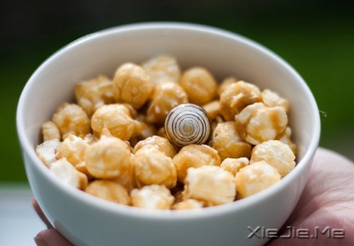 �簲�������ĺ�С����Ҫװ��̫������ (10)