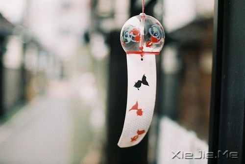 ���������Ҫ������ʵ���Լ� (7)