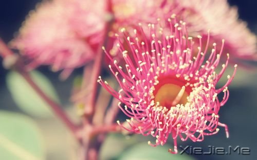 �簲������������������������������ (9)