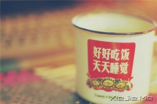 ��������������Ҫ��̫�࣬����Ż������ϲ (9)