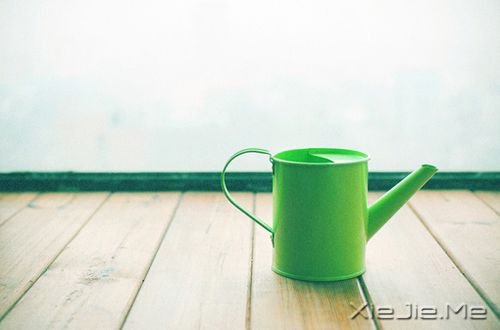 ��������ˣ���������һ��ӵ�� (7)