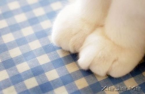 С����ͼƬ (6)