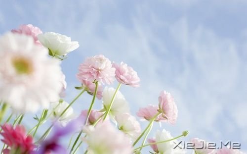 С����ͼƬ (4)