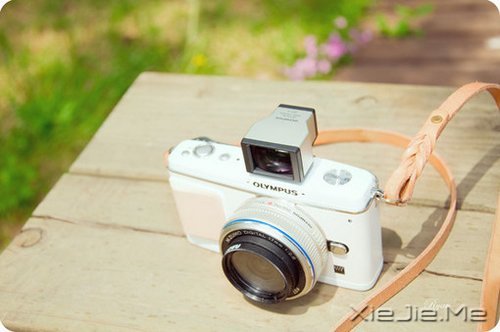 ����������������������� (9)