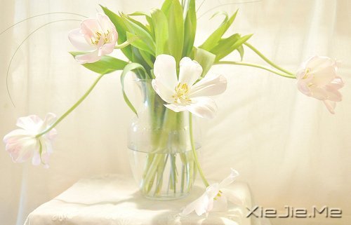 �̻Ả��ʮ����