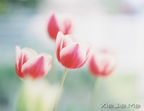 ������ʮ������������ø������� (2)