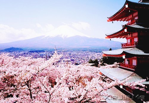 ������¼��50�������ľ��� (3)