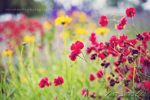 ����ʮ�󶥼����ļ�ѵ