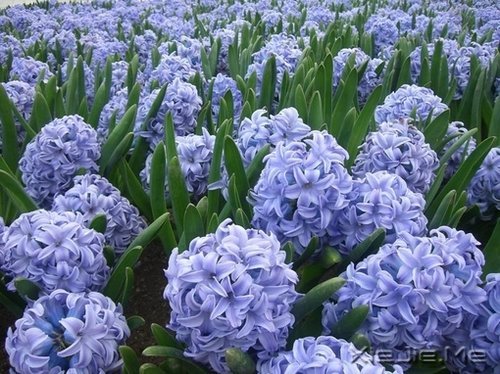 ������¼����ʲôҲ������������ (11)