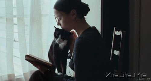 ���֣��Ķ���ʱ�� (7)