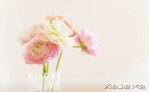 ĸ���������Ǹ�����Ƣ����