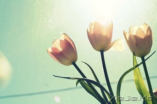 �������غ� (4)