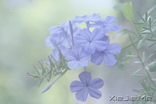 �������غ� (6)