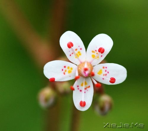 ������һ�ֵ�������� (7)