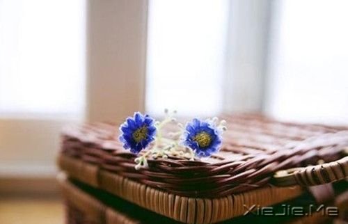 ������һ�ֵ�������� (10)